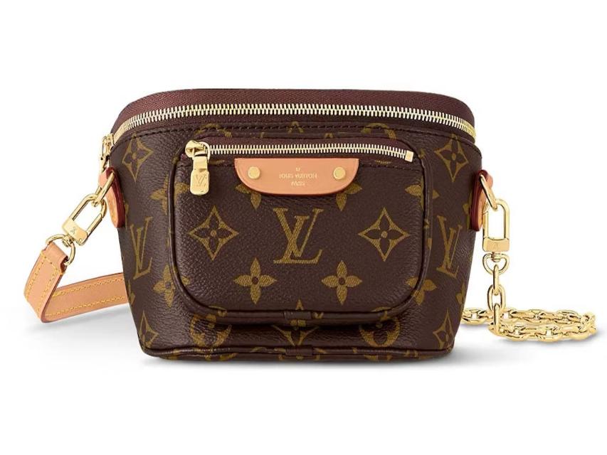 Louis Vuitton Mini Bumbag Monogram